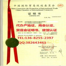 代理代辦服務的優勢與注意事項